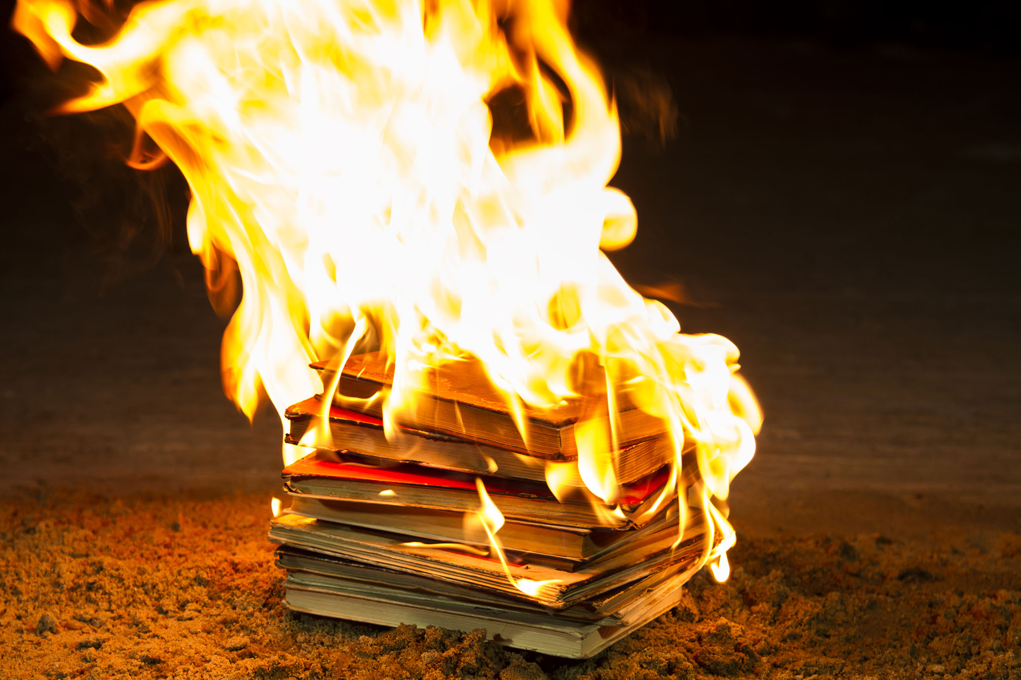 summarize why books are burned